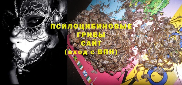 дживик Абинск