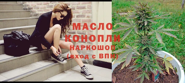 дживик Абинск