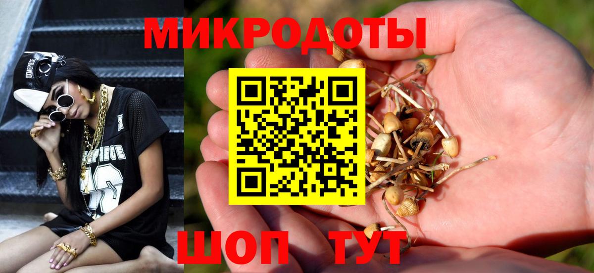 Псилоцибиновые грибы Psilocybe  Псилоцибиновые грибы мицелий  Мурино  Вход с VPN 