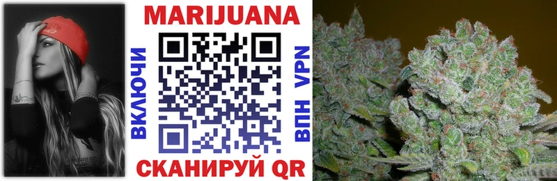 Конопля Bruce Banner  где найти наркотики  Мурино 